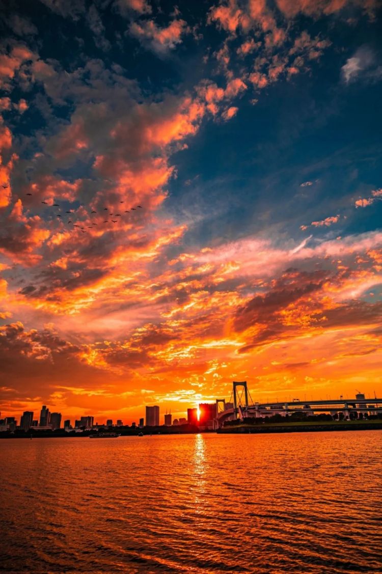 第290期：高市早苗抹黑门录音曝光？日本女性天皇支持率超七成？人口创新跌幅；岚实现最后五人合体演出 | 百通板