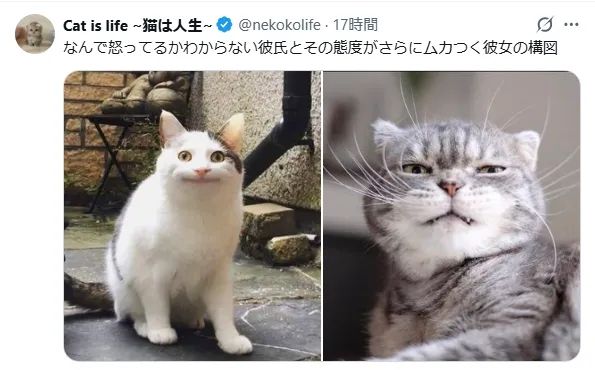 日本网友又在瞎说什么大实话？第60回