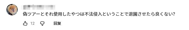 日媒曝中国“黄牛”在东京迪士尼提供非法导游服务赚黑钱？！日网：但官方确实贵得离谱啊……