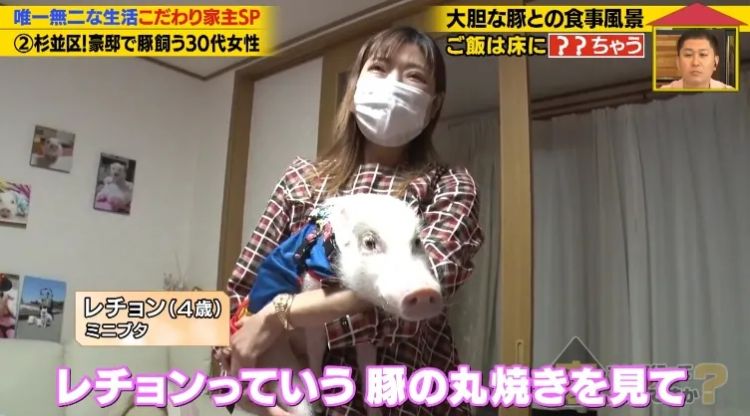 日本40岁女性住豪宅养猪猪，还因猪猪和明星结缘？深感幸福不想结婚，称“对男人没兴趣”…