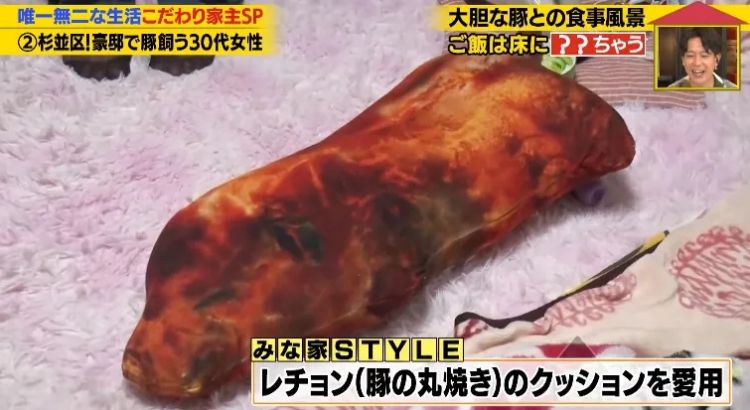 日本40岁女性住豪宅养猪猪，还因猪猪和明星结缘？深感幸福不想结婚，称“对男人没兴趣”…