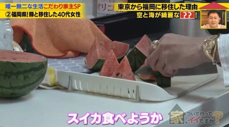 日本40岁女性住豪宅养猪猪，还因猪猪和明星结缘？深感幸福不想结婚，称“对男人没兴趣”…