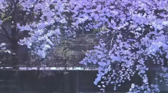 明明是纯爱大师，为什么岩井俊二比谁都“残酷”？