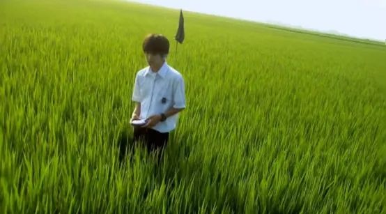 明明是纯爱大师，为什么岩井俊二比谁都“残酷”？