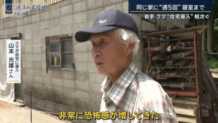 野猪街头打擂台,黑熊纵享“霸王餐”……日本迎来野生动物暑期“City Walk” 野猪街头打擂台,黑熊纵享“霸王餐”……日本迎来野生动物暑期“City Walk”
