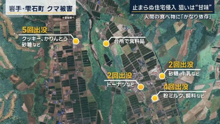 野猪街头打擂台,黑熊纵享“霸王餐”……日本迎来野生动物暑期“City Walk” 野猪街头打擂台,黑熊纵享“霸王餐”……日本迎来野生动物暑期“City Walk”