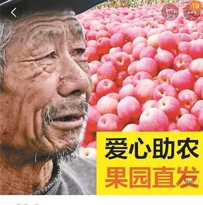 日本果园5000颗梨一夜被偷光,却有人转头在二手平台卖?!果农大哭:我不干了! 日本果园5000颗梨一夜被偷光,却有人转头在二手平台卖?!果农大哭:我不干了!