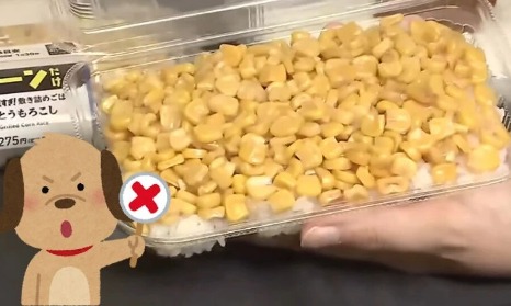 日本疯狂涨价，罗森却推出“穷鬼饲料”！日网：好感动，我家狗吃得都比这好……
