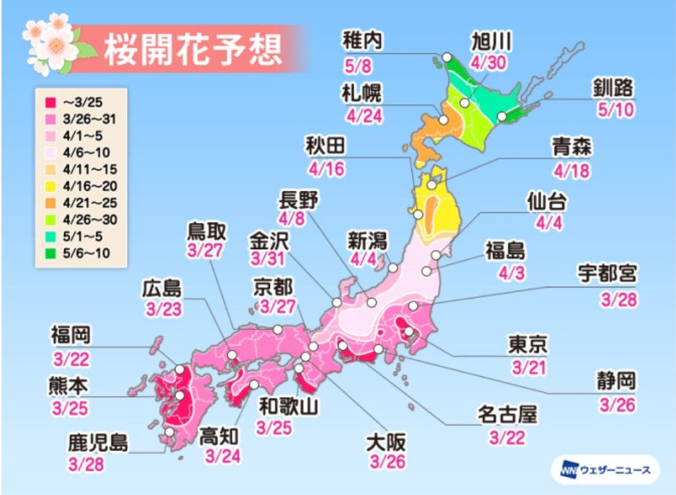 2020第一波樱花前线来了！今年日本最美的樱花去哪里看？