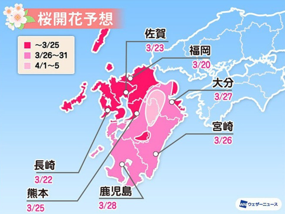 2020第一波樱花前线来了！今年日本最美的樱花去哪里看？