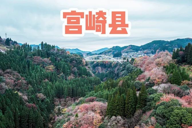 达人游记︱自然、美食与慢生活，九州南部的休闲之旅